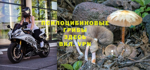 MDMA Premium VHQ Алексеевка